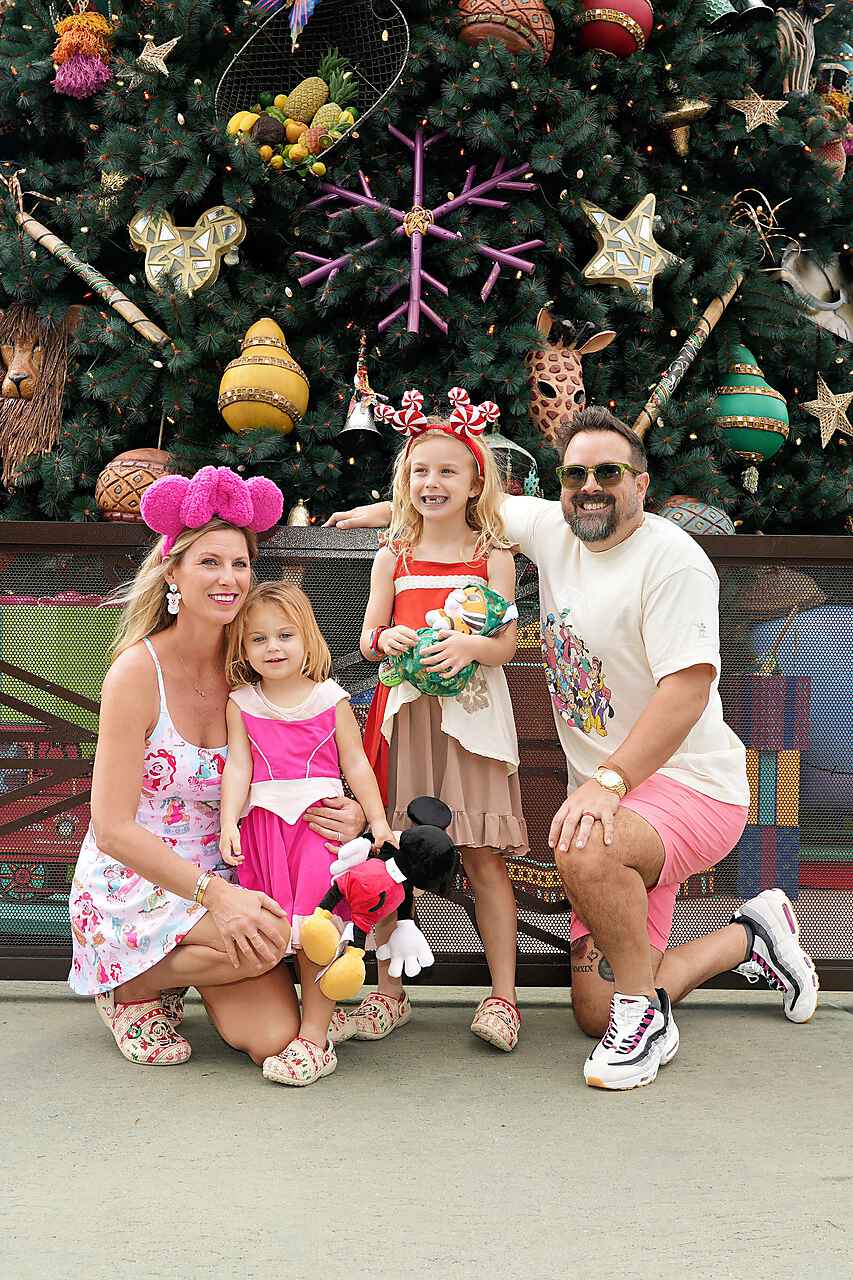 Christmas at Walt Disney World