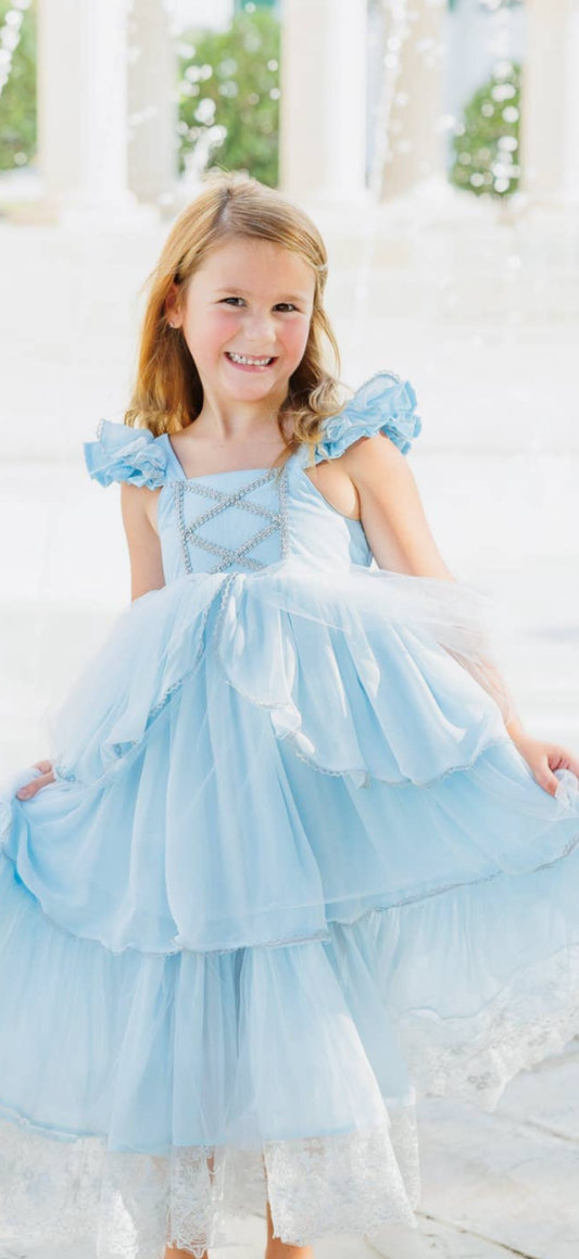 Royal Princess Dress sz 6